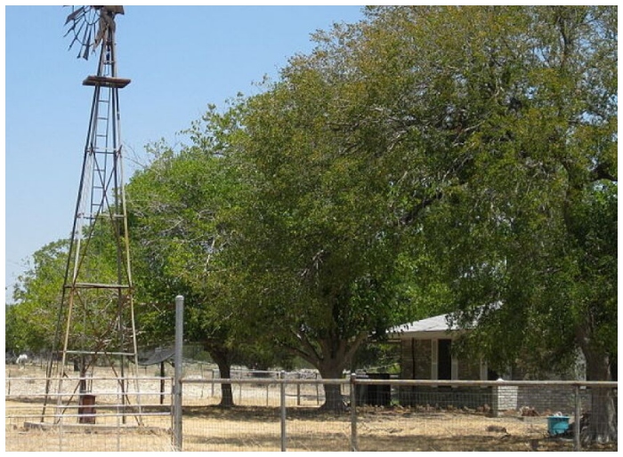 30 US Cities Whose Renamed Ranked From Unbelievable to the Weirdest