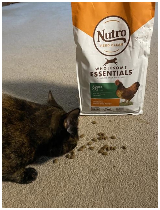 The Best and Worst Cat Food Brands Ranked Comic Stadium