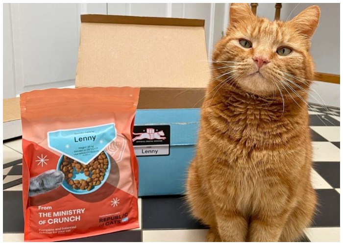 The Best and Worst Cat Food Brands Ranked Comic Stadium